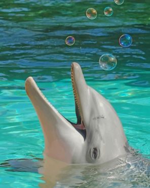 Happy Dolphin Paint by numbers