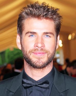 Liam Hemsworth paint by numbers