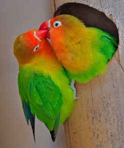 Love Birds paint by numbers