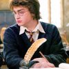 Nerdy Harry Potter paint by numbers