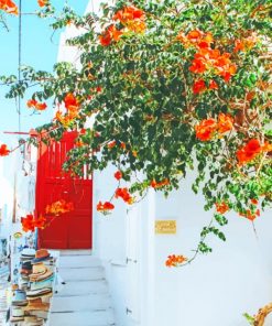 Orange Flowers Tree Mykonos paint by numbers