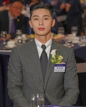 Park Seo Joon paint by numbers