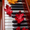 Piano And Leaves paint by numbers