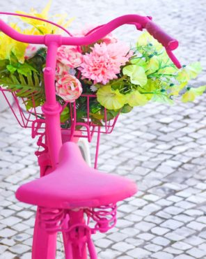 Pink Bike Flowers paint by numbers