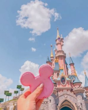 Pink Biscuit Sleeping Beauty Castle Paint by numbers