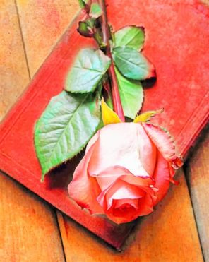 Pink Rose In Book paint by numbers