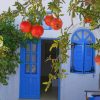 Pomegranate Tree In Santorini Paint By Numbers