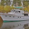 Sea Princess Defever 49 Paint by numbers