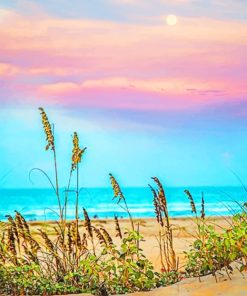 South Padre Island Sunset paint by numbers