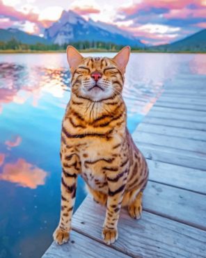 Bengal Cat In A Seascape paint by numbers