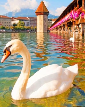 Swan In Chapel Bridge Switzerland paint by numbers