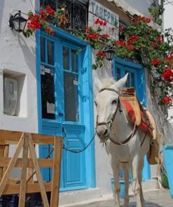 White Donkey In Greece Paint by numbers