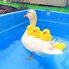 White Duck With Yellow Ducks Paint by numbers