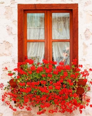 Window Ledge Flowers paint by numbers