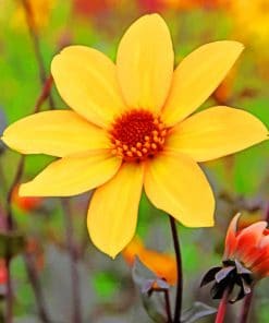 Yellow Dahlia paint by numbers