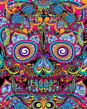 Colorful Skull Paint by numbers