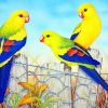 Aesthetic Parrots Paint by numbers