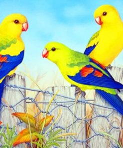 Aesthetic Parrots Paint by numbers