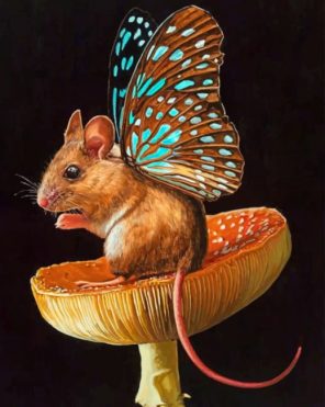 Butterfly Mouse Paint by numbers