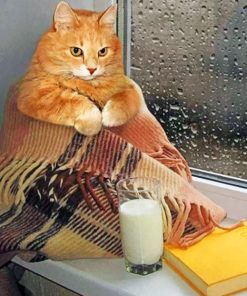 Cat Drinking Hot Milk In A Rainy Day paint by numbers