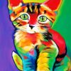 Colorful Cat paint by numbers