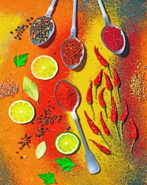 Colorful Spices Paint by numbers