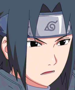 Sasuke Paint by numbers