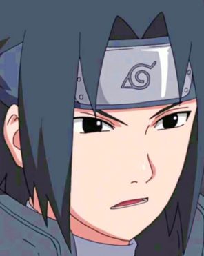 Sasuke Paint by numbers