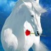 White Horse Holding A Red Flower paint by numbers