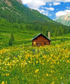 Cabin in nature paint by numbers