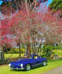 Classic Blue Car paint by numbers