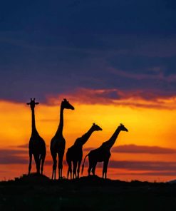 Giraffes Silhouette paint by numbers