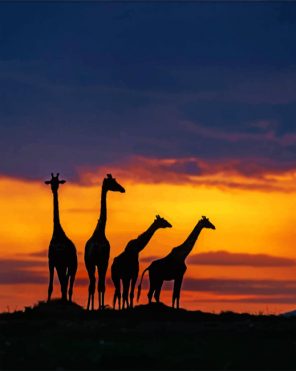 Giraffes Silhouette paint by numbers