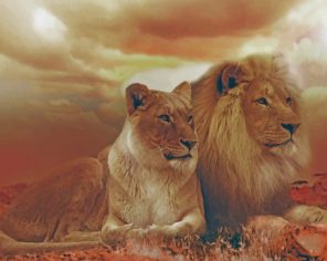 Lion Couple paint by number