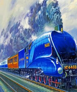 The Mallard Liner Train paint by numbers