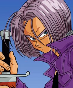 Trunks Dragon Ball paint by numbers