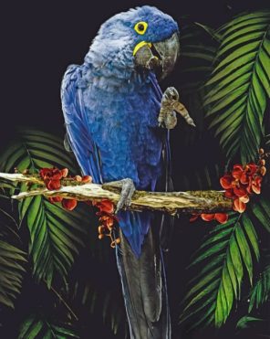 Blue Parrot Paint by numbers