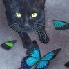 Black Cat And Butterflies Paint by numbers