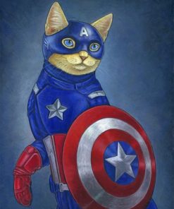 Captain Meow paint by numbers