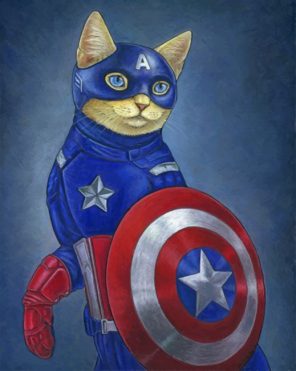 Captain Meow paint by numbers