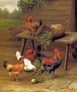 chickens art paint by numbers