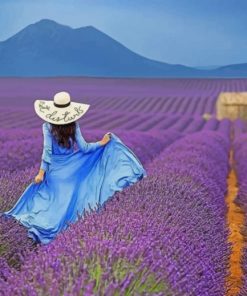 Woman In A Field Of Lavender Paint by numbers