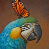 Parrot And Butterfly paint by nummbers