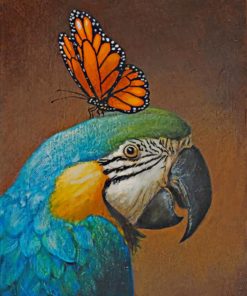 Parrot And Butterfly paint by nummbers