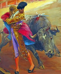 Spanish Bullfighter paint by numbers