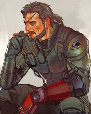 Big Boss paint by numbers