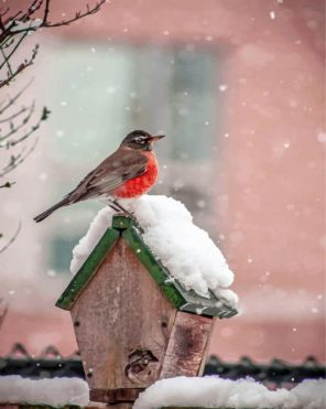 Bird On House In Snow paint by numbers