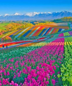 Colorful Flower Field paint by number