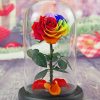 Led Rose Bottle paint by numbers