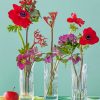 Poppies Glass Vases paint by numbers